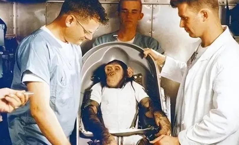 aoa体育直播-关于布伦特福特决胜时刻崭露头角，占据局势主动的信息