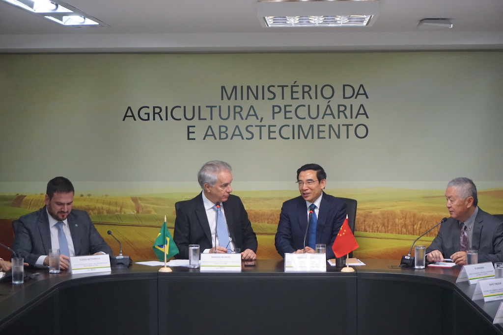 aoa体育直播-巴西代表团取得关键胜利，逐渐崭露头角