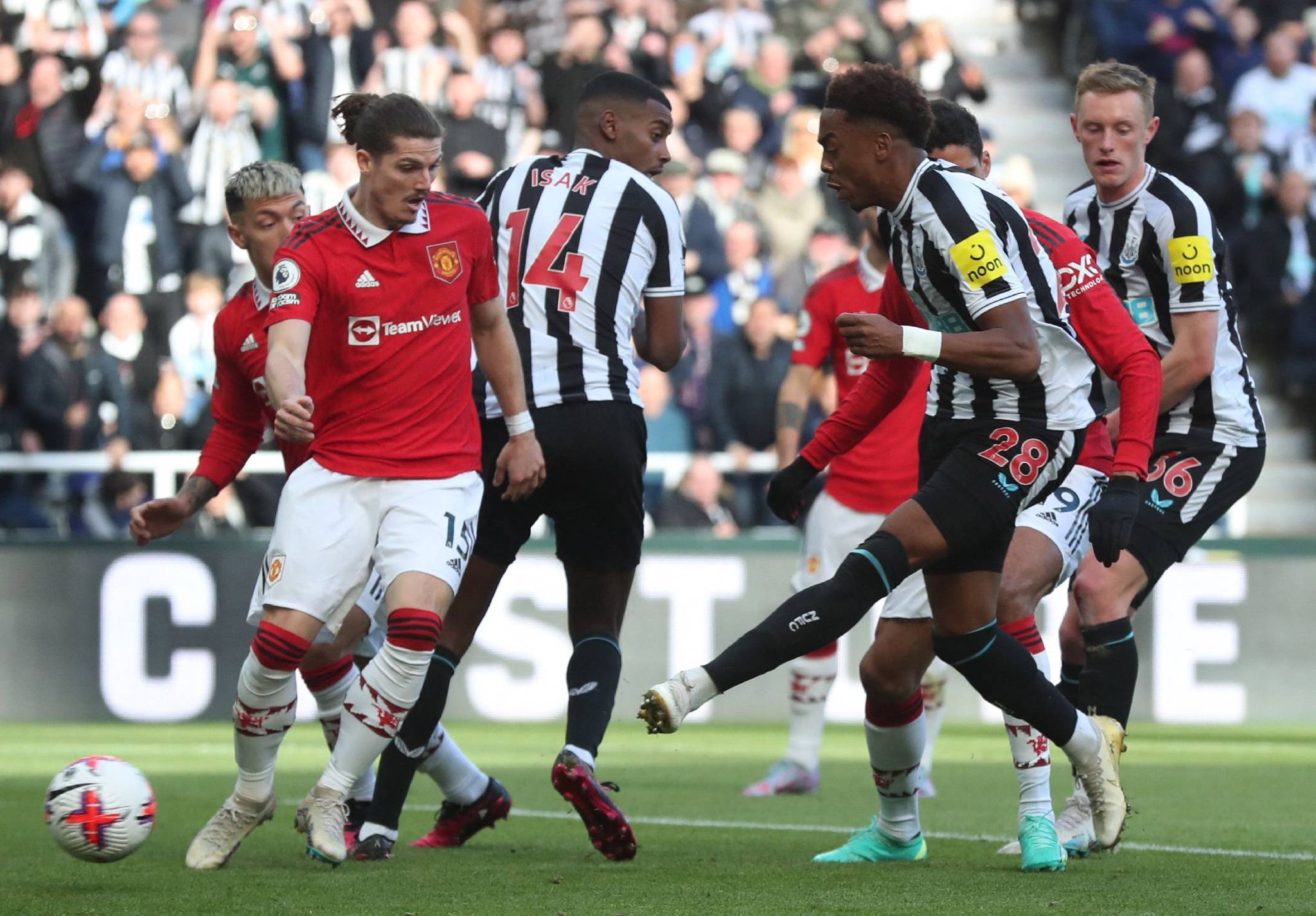 aoa体育课程-纽卡斯尔联门将神勇扑救，主场保持不败稳住保级位置的简单介绍