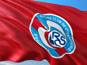 aoa体育培训-帕尔梅拉斯球员训练强度加大，力求最佳竞技状态