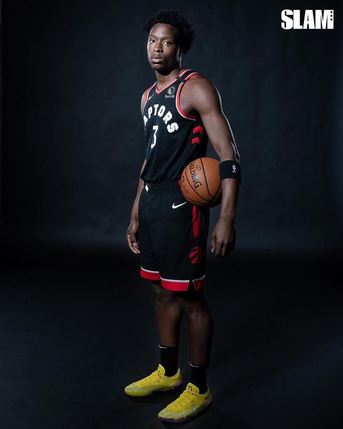 aoa体育馆-包含猛龙队实力强劲，期待继续取得良好战绩的词条