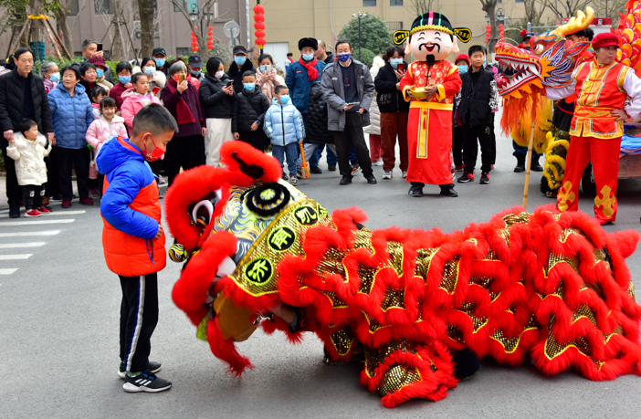 主场龙腾虎跃，球队气势如虹一路领先的简单介绍